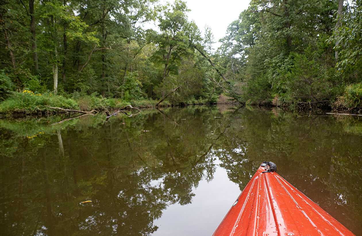 Kayak in Zekiah Swamp, MD